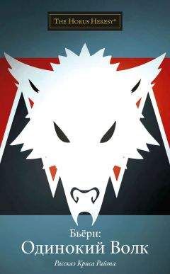 Крис Райт - Бьёрн: Одинокий Волк