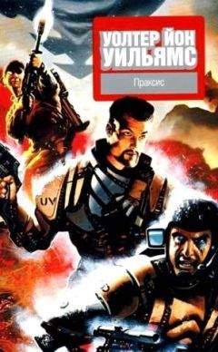 Уолтер Уильямс - Праксис