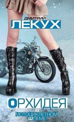 Дмитрий Лекух - Орхидея в мотоциклетном шлеме (сборник)