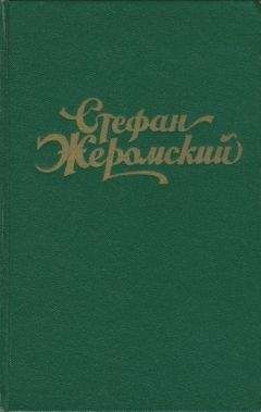 Стефан Жеромский - Забвение