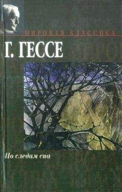 Герман Гессе - Европеец