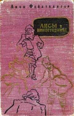 Лион Фейхтвангер - Лисы в винограднике