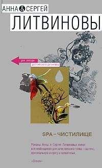 Анна и Сергей Литвиновы - SPA-чистилище