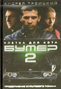 Андрей Троицкий - Бумер-2: Клетка для кота