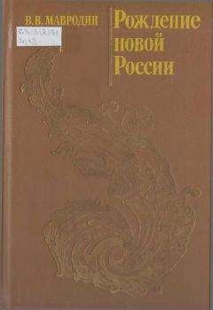Владимир Мавродин - Рождение новой России