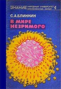 Семен Блинкин - В мире незримого