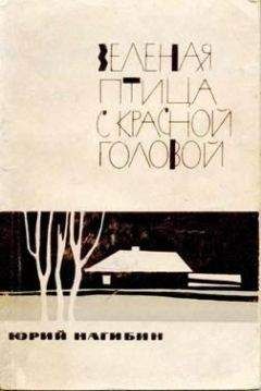 Юрий Нагибин - Велосипед