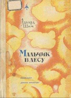 Эдуард Шим - Мальчик в лесу