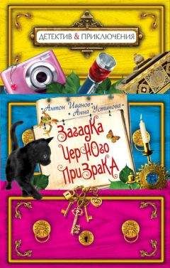 Анна Устинова - Загадка черного призрака