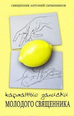 Антоний Скрынников - Карманные записки молодого священника
