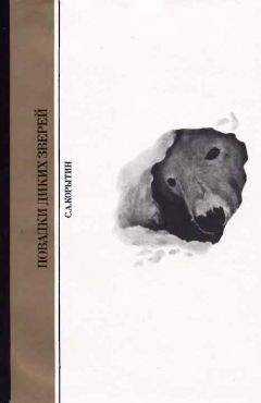 Сергей Корытин - Повадки диких зверей