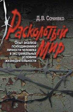 Дмитрий Сочивко - Расколотый мир. Опыт анализа психодинамики личности человека в экстремальных условиях жизнедеятельности