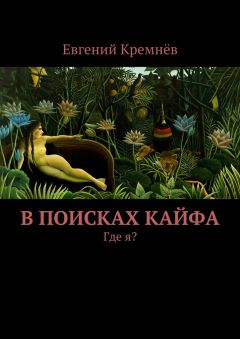 Евгений Кремнёв - В поисках кайфа