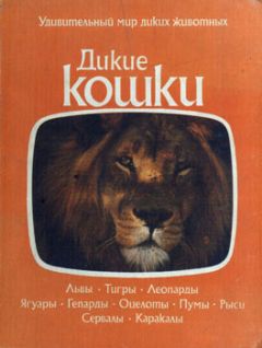 Коллектив авторов - Дикие кошки