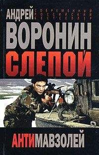 Андрей Воронин - Антимавзолей