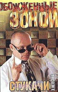 Эльмира Нетесова - Стукачи