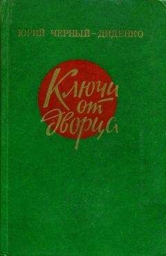 Юрий Черный-Диденко - Ключи от дворца