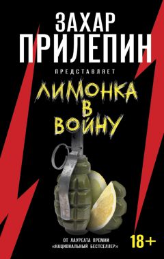 Сборник - «Лимонка» в войну