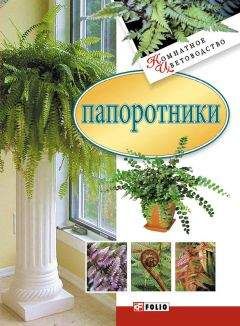Сборник - Папоротники
