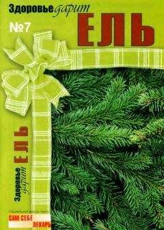 Alex Fritzler - Здоровье дарит ЕЛЬ. Спецвыпуск газеты "Сам себе лекарь", №7 (февраль 2009)