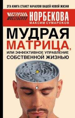 Максим Сумароков - Мудрая матрица, или Эффективное управление собственной жизнью