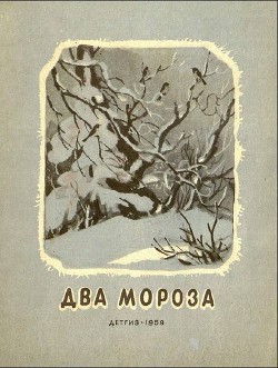 Два мороза - Никитин Иван Саввич