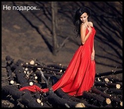 Не подарок (СИ) - 