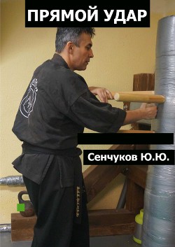 Прямой удар (СИ) - Сенчуков Юрий Юрьевич