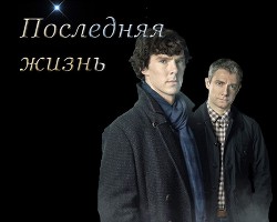 Последняя жизнь (СИ) - 