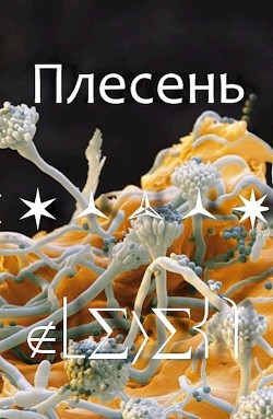 Плесень (СИ) - 