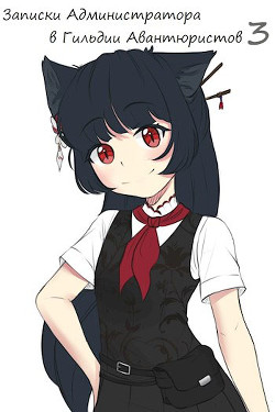 Записки Администратора в Гильдии Авантюристов. 3 Том (СИ) - 