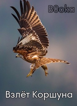 Взлёт Коршуна (СИ) - 