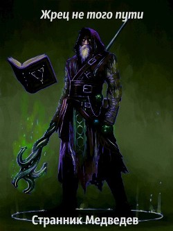 Жрец не того пути (СИ) - Медведев Данил 