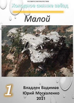 Малой. Книга первая (СИ) - Москаленко Юрий 