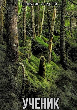 Ученик. Книга вторая (СИ) - Первухин Андрей Евгеньевич