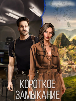 Короткое замыкание (СИ) - 