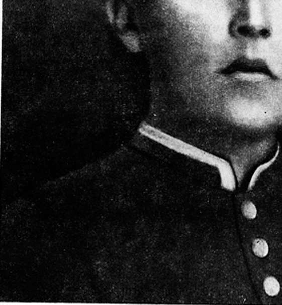 Летопись жизни и творчества А. П. Чехова - Н. И. Гитович