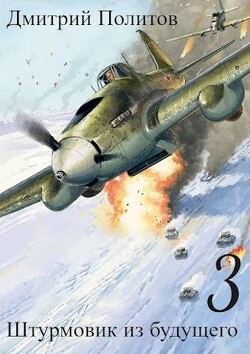 Штурмовик из будущего 3 (СИ) - Политов Дмитрий Валерьевич