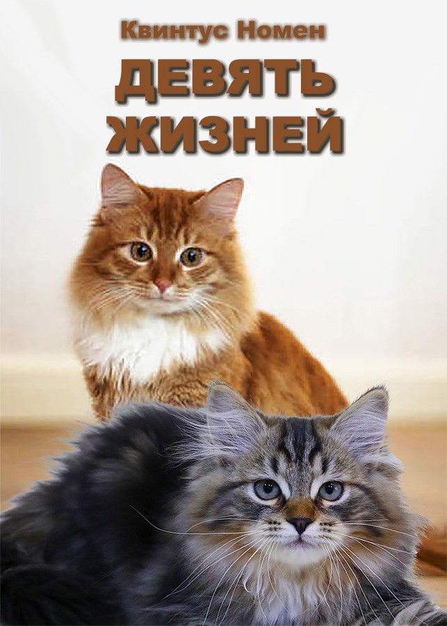 Девять жизней - Квинтус Номен