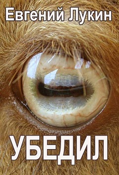 Убедил - Евгений Юрьевич Лукин