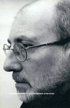 Михаил Айзенберг - Контрольные отпечатки