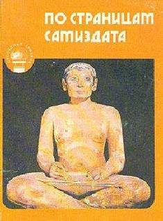 Петр Григоренко - В подполье можно встретить только крыс…
