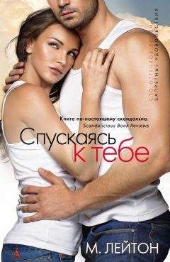 Мишель Лейтон - Плохие парни. Спускаясь к тебе. Книга 1