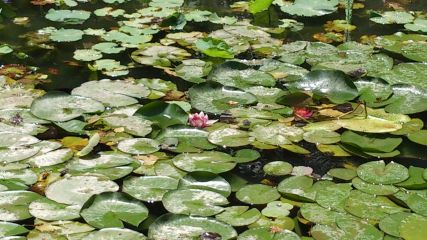 Андрей Мансуров - Восемнадцатое Царство