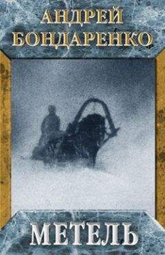 Андрей Бондаренко - Метель